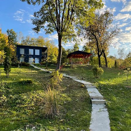 Casa De Pe Un Deal-Provita De Sus-Prahova Eksteriør billede